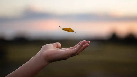 Wu Wei Explained: The Power of Effortless Action