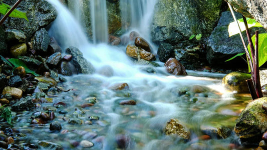 How to Use Taoism to Accept Life as It Comes