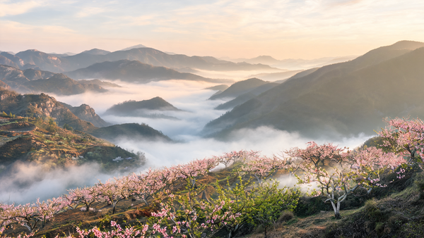 Xiwangmu: The Queen Mother of the West, Taoist Goddess