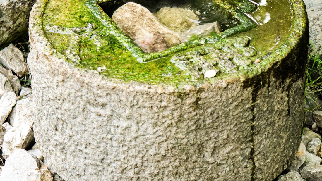 How to Transform Your Outdoor Space with Feng Shui Principles 