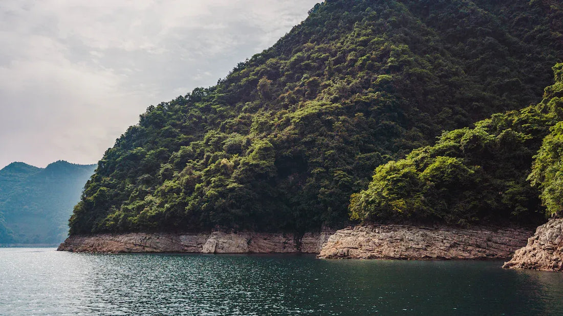 Taoist Approach to Effortless Living Through Wu Wei