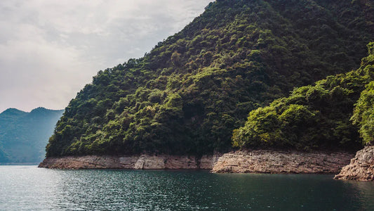 Taoist Approach to Effortless Living Through Wu Wei