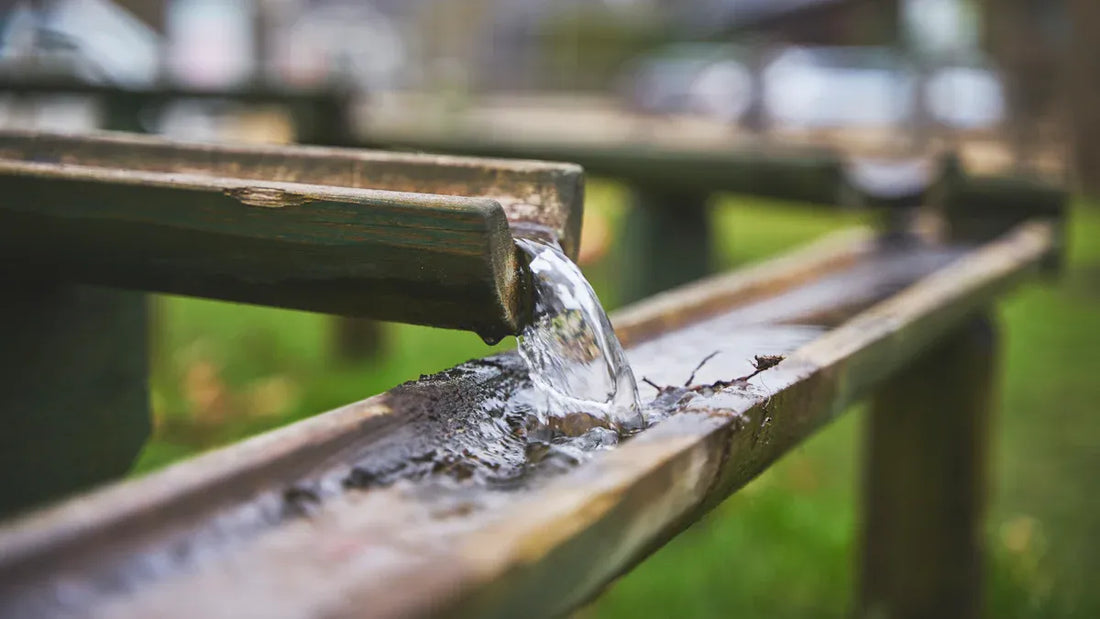 What Is the Taoist Wisdom Behind Water’s Virtue