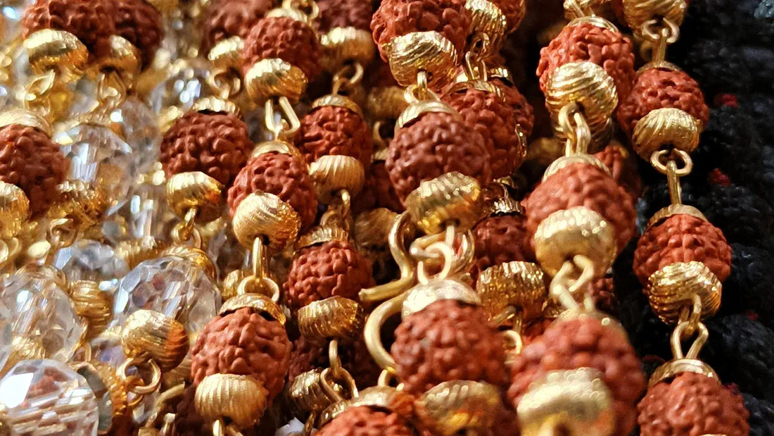 How to Choose High-Quality Rudraksha: A Genuine Seed Guide