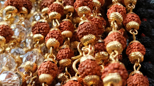 How to Choose High-Quality Rudraksha: A Genuine Seed Guide