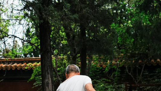 What Tai Chi Walking Really Feels Like for Beginners