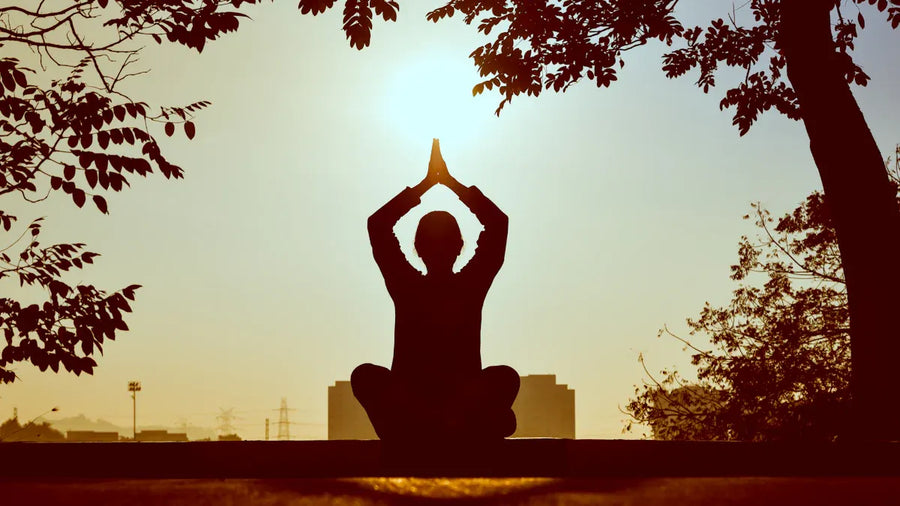 How to Handle Conflict With Taoist Calmness