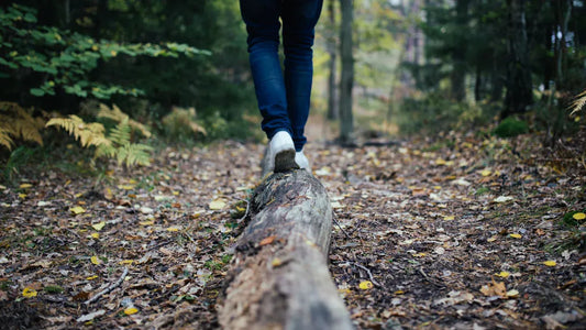 What Is the Importance of Harmony Between Man and Nature Today