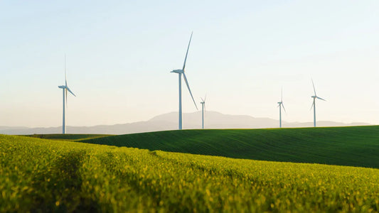 Balancing Yang with Yin: The Secret to Sustainable Energy