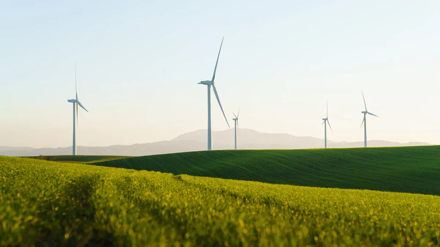 Balancing Yang with Yin: The Secret to Sustainable Energy