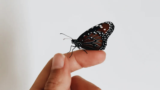 What Makes 8 8 Manifestation So Powerful for Spiritual Growth