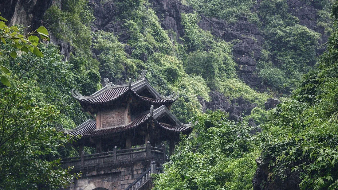 Bring Taoism into Urban Green Space