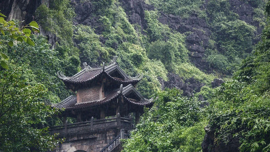 Bring Taoism into Urban Green Space