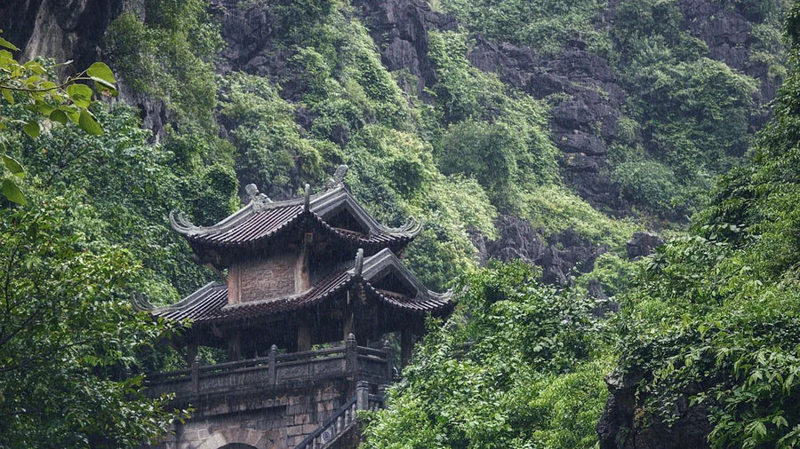 Bring Taoism into Urban Green Space