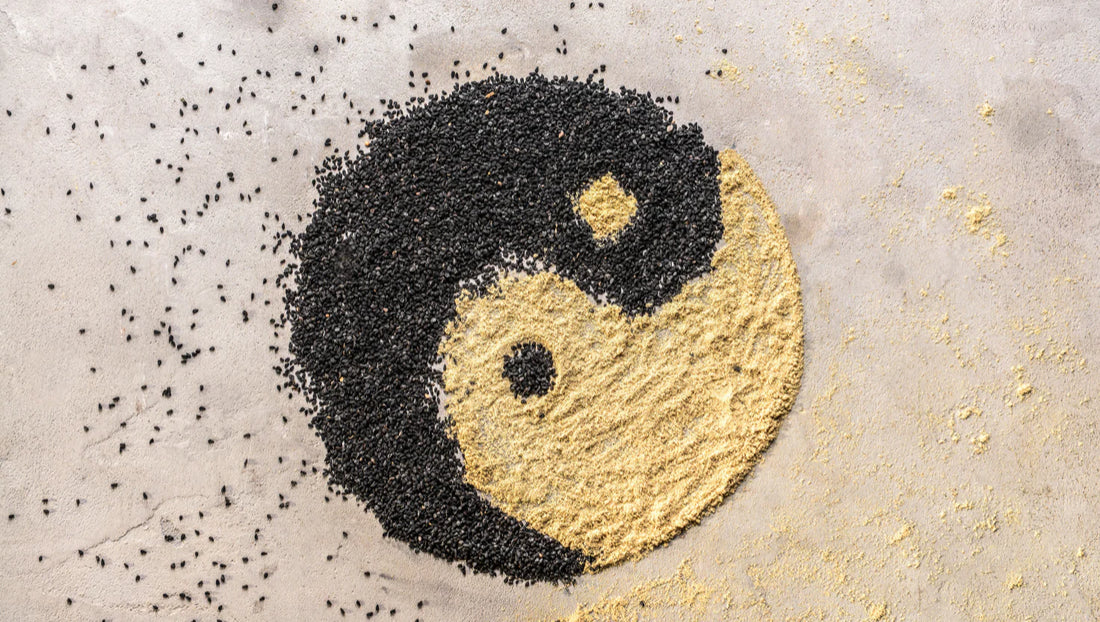 Principles of Taoism explained