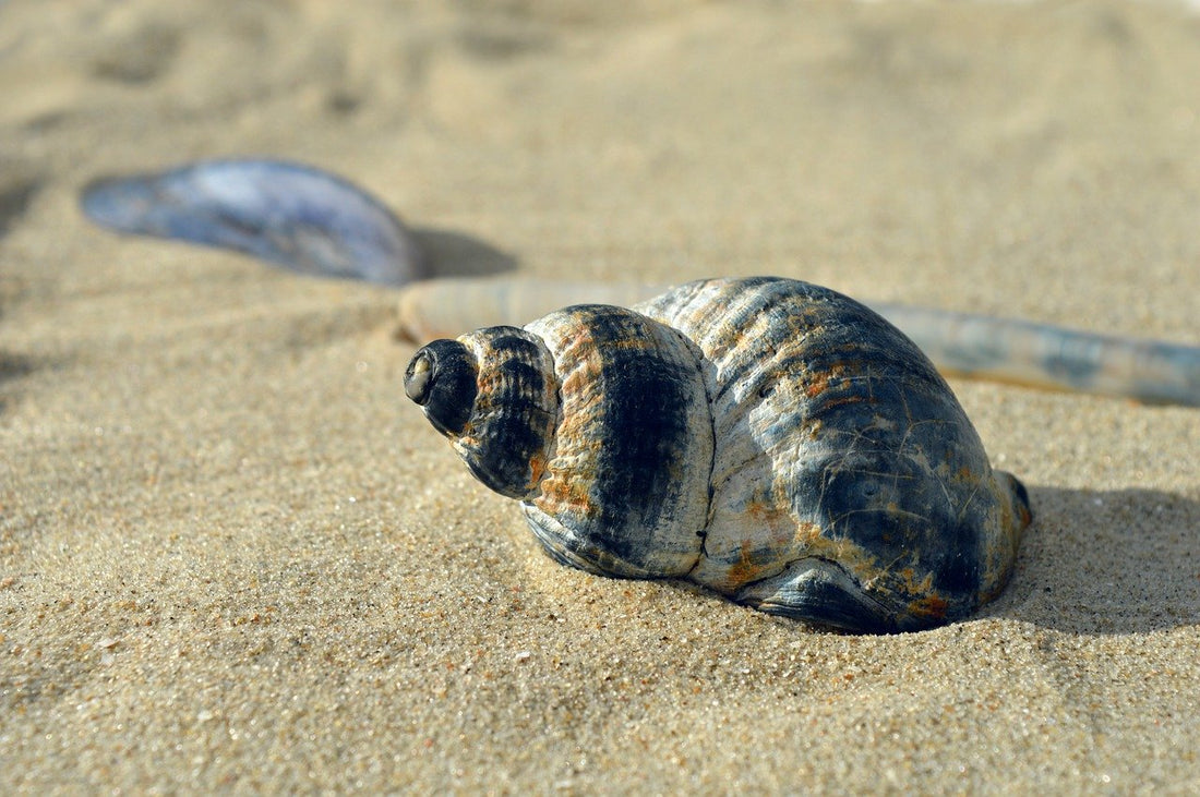 Taoism and the Art of Urban Slow Living