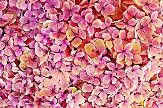 Protect Your Peace: A Taoist Guide to Ignoring Toxic People