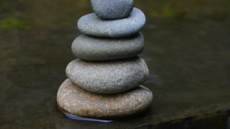 Living in Sync with Nature: The Taoist Guide