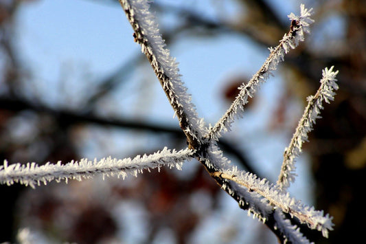 Beyond the Hero’s Journey: Taoist Themes in “Nezha 2” Decoded