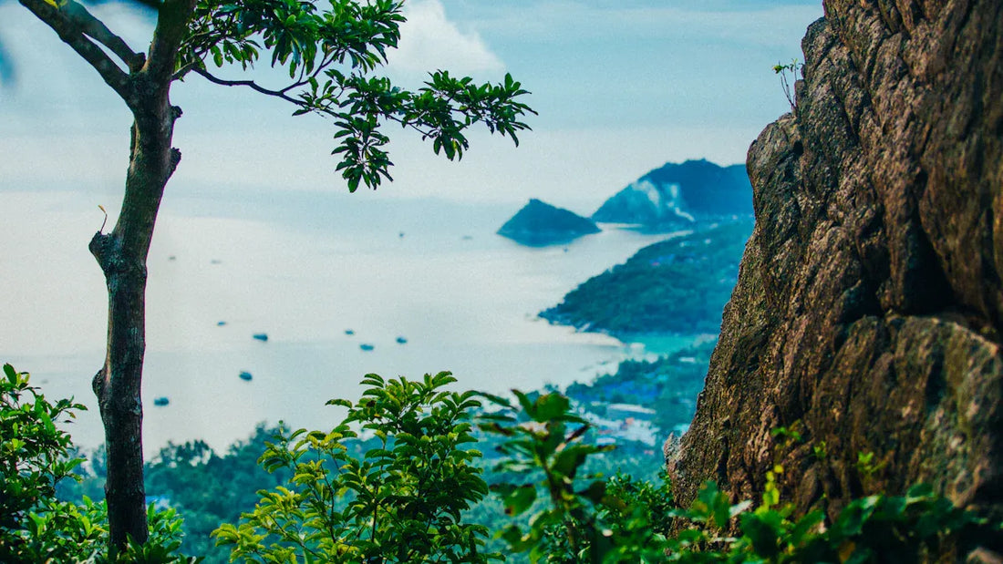 What Can We Learn from Taoism for Environmental Protection