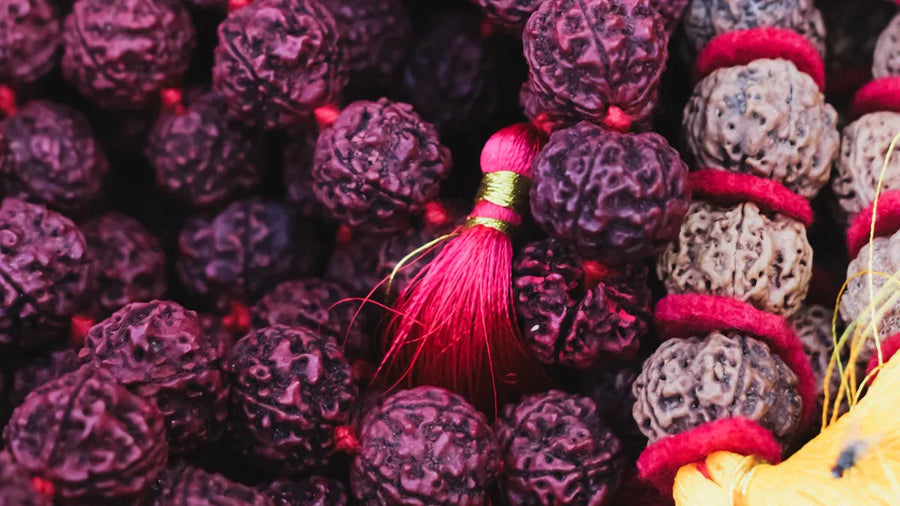 What is rudraksha?