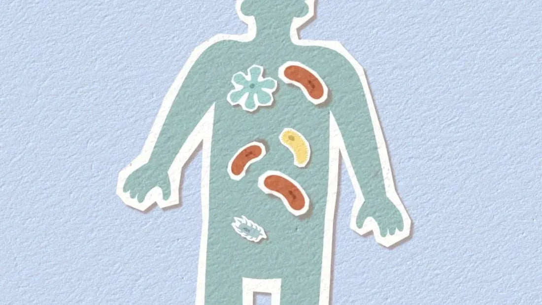 The Taoist Way: How Emotional Balance Boosts Immunity