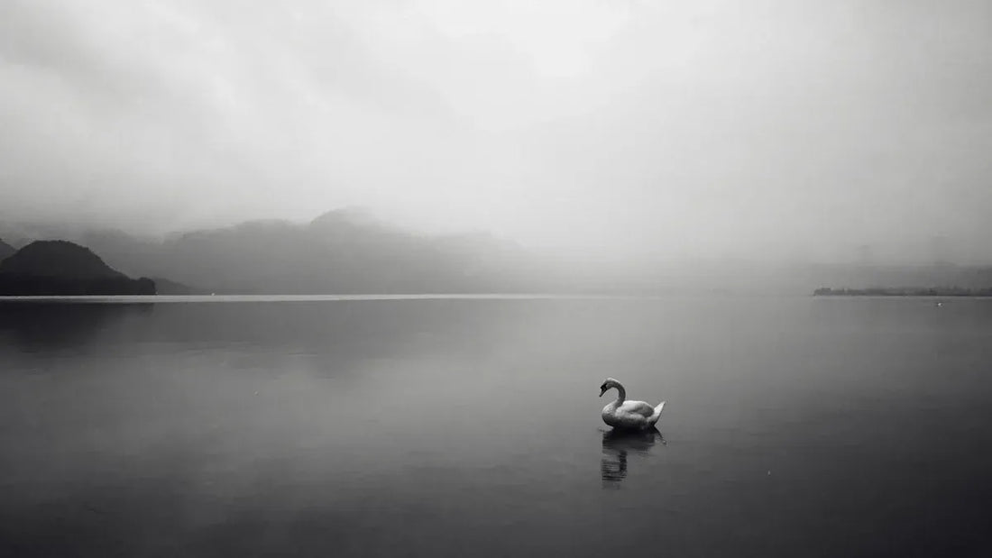 What Is Stillness and How Can We Experience It Today