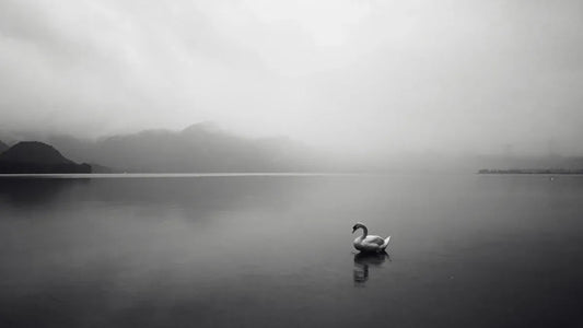 What Is Stillness and How Can We Experience It Today