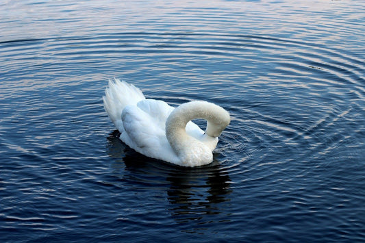 The 3-Minute Taoist Trick to Instantly Kill Your Anger