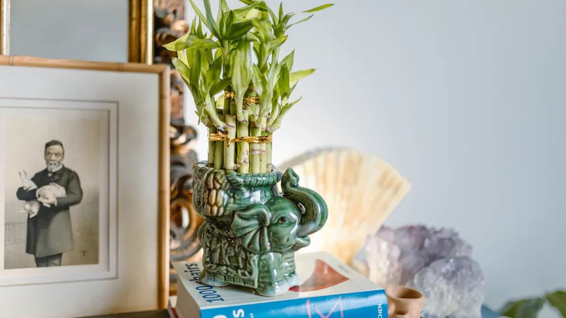 How to Easily Find Your Feng Shui Wealth Corner at Home 
