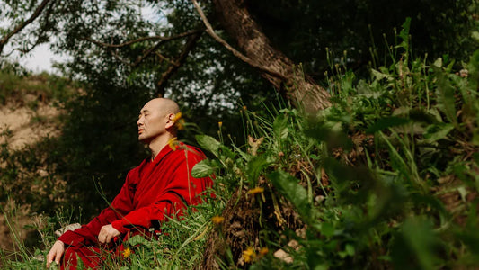 The Difference Between Zen and the Taoist Meditation Explained