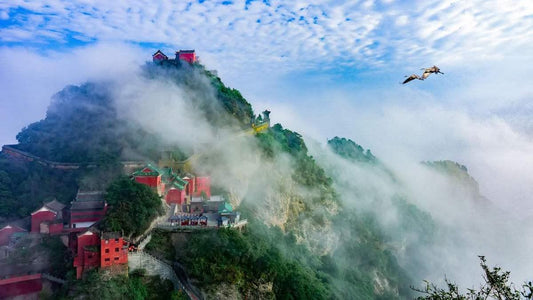 Types of Feng Shui: Form, Compass, Flying Stars, BTB Guide