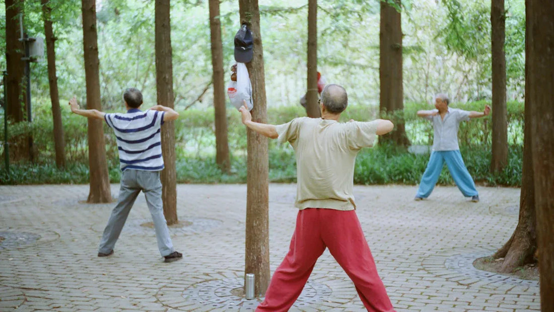 Three Tai Chi Games for Family Fun