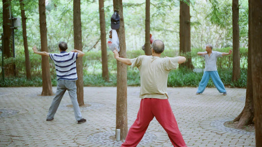 Three Tai Chi Games for Family Fun