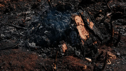 What Are the Five Elements in Feng Shui and What Do They Mean