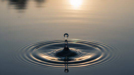 Be Like Water: The Taoist Philosophy Bruce Lee Made Famous