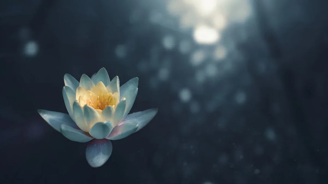 Easy 3-Minute Meditations for Stress Management 