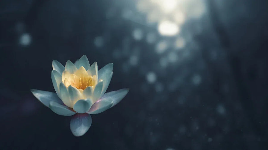 Easy 3-Minute Meditations for Stress Management 