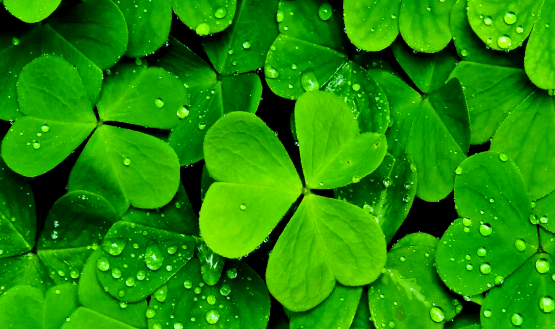 Taoism Methods for Improving Luck and Creating Blessings