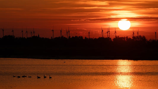 The Power of Yin: Embracing the Feminine in Taoism