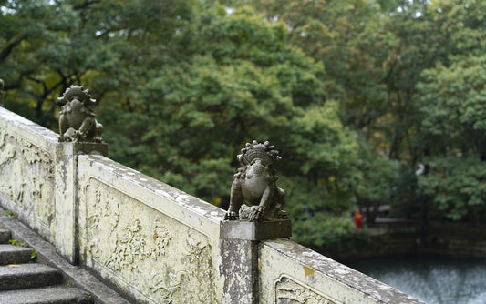 Why Do Taoists Live So Long? 