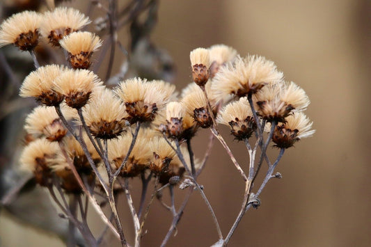 2026 Forecast: Balancing Yin and Yang for Your Zodiac Sign