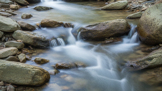 Taoism and Boundaries: Saying No Without Closing Off