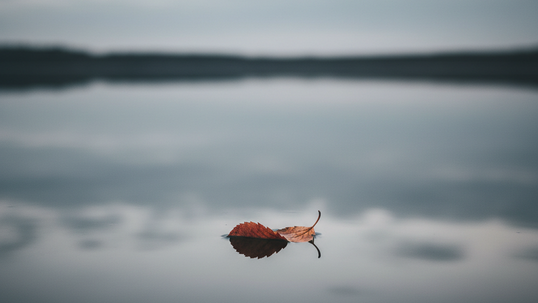 Taoism and Grief: Loss Healing Like Water Holds Stone