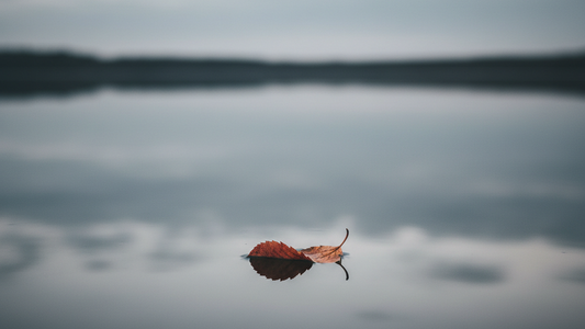 Taoism and Grief: Loss Healing Like Water Holds Stone