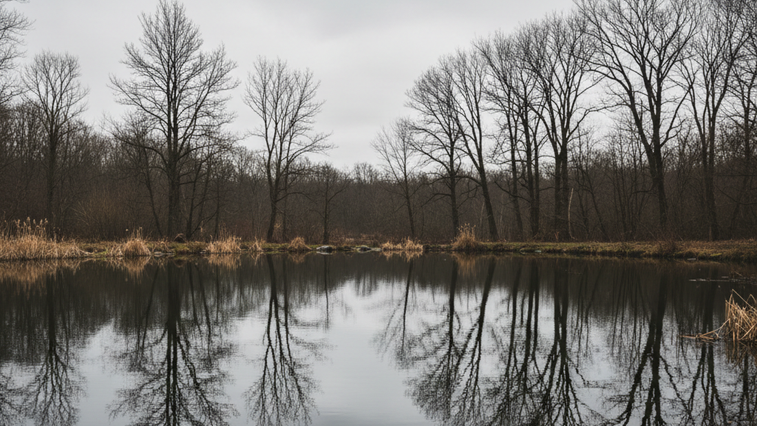 Taoist Cure for Overthinking: Stop Analyzing, Start Flowing