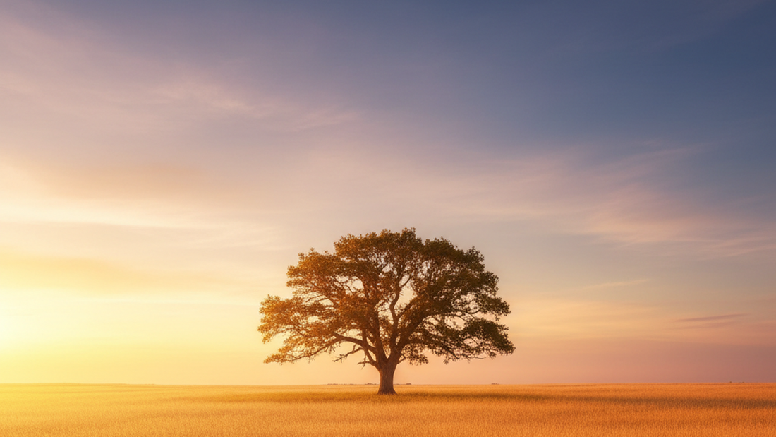 Taoism and Quiet Quitting: The Ancient Art of Doing Enough