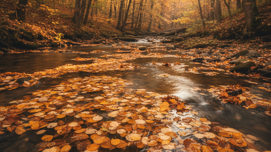 Taoism and Money: Why the Tao Teaches Abundance Not Greed