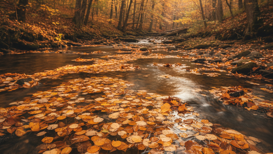 Taoism and Money: Why the Tao Teaches Abundance Not Greed