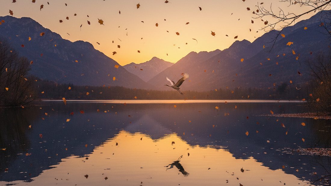 Taoism Death Philosophy: Why the Sage Doesn't Fear the End